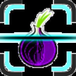 Onion Scanner